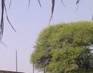a3f3ac0835a1.jpg