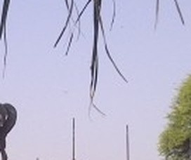 2cbeaa450542.jpg