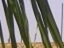 669cf0dd7777.jpg