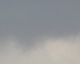eb52601c6fd2.jpg