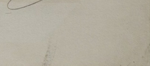 919dbf054100.jpg