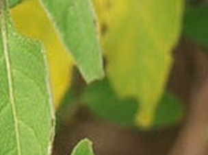 93e8805f7631.jpg