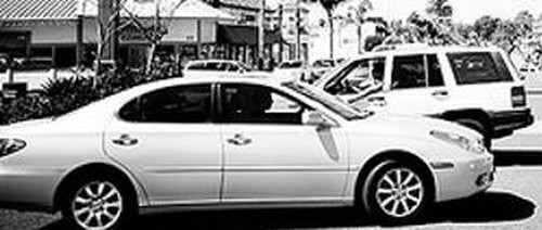 91f33b562bea.jpg