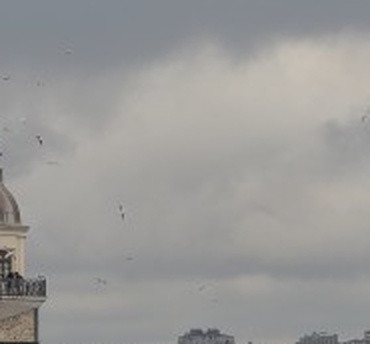 7e0e209442c1.jpg