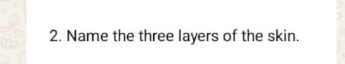 temp.png
