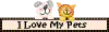 1000011440.webp