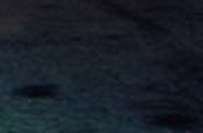 4a98e8ad0d03.jpg