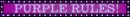 1000011499.webp