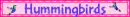 1000011484.webp