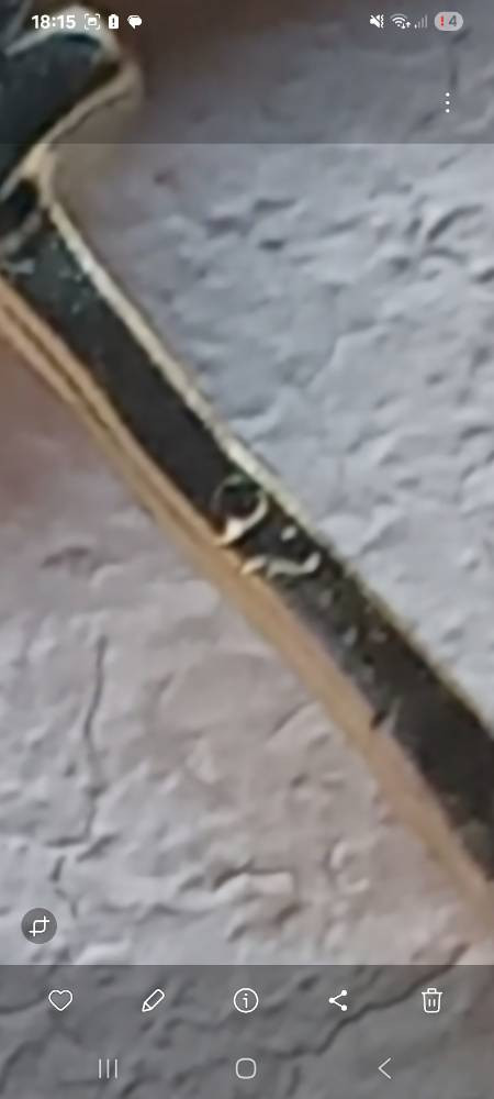 52712560714d.jpg