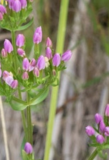 b3a10593ab9f.jpg