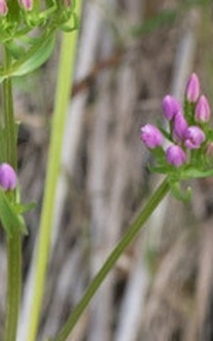 e205366df044.jpg