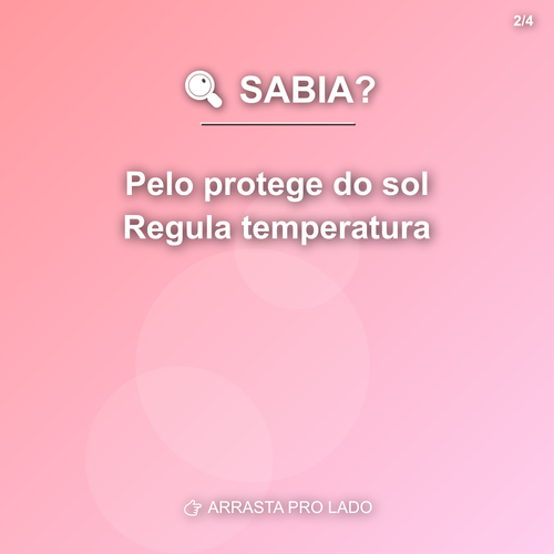carousel 1775588402519 slide2.png