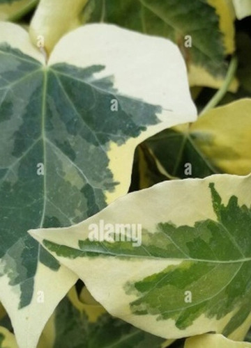 24b54e4325c4.jpg