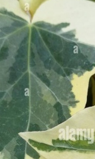 9f48914b1c6c.jpg