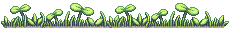 1000030356.png