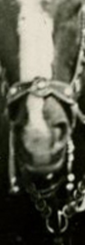 35aa8e914ef2.jpg