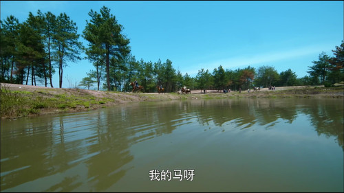 [寂寞空庭春欲晚].Chronicle.of.Life.2016.Complete.WEB DL.4K.HEVC.AAC CMCTV 002919.jpg
