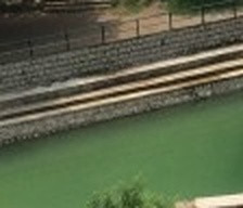 060dd0655a10.jpg