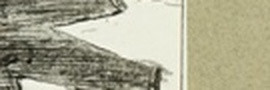 a410cdcfb57f.jpg