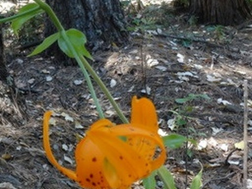 1f942132ffac.jpg