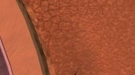 22c540e67b54.jpg
