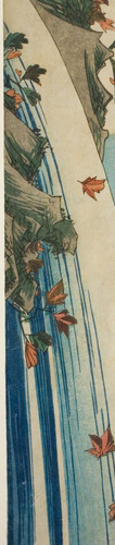 2c5ce8663d51.jpg
