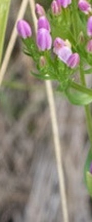 4053b5f66297.jpg