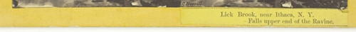 dc6f20647e5b.jpg