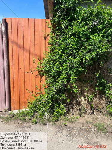 photo 4 2026 04 07 20 29 40.jpg