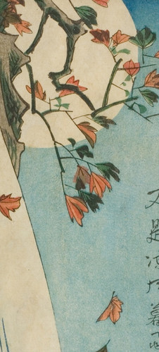 44c29fecd460.jpg