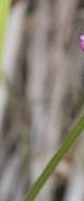 b6ad2c4089ad.jpg