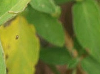 aefbc72d57a1.jpg