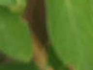 666d13969e74.jpg