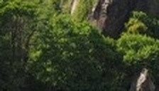 77edf9c2cd23.jpg