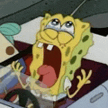 IMG 3734.gif