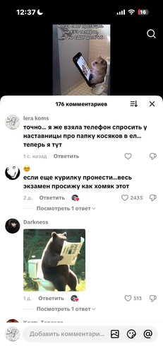 IMG 7865.png