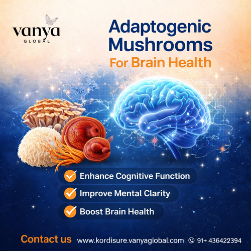 Adaptogenic mushrooms for brain.png