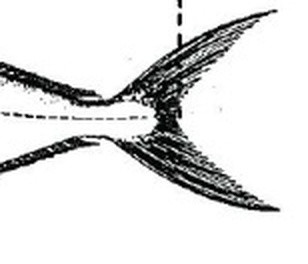 01d617e75553.jpg