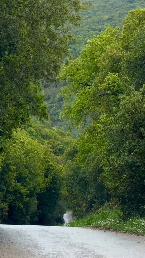 eJFyeMEULnT Ncws.jpg