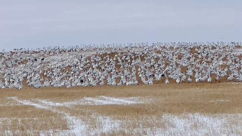 YgVEgUftSV DozXL.jpg