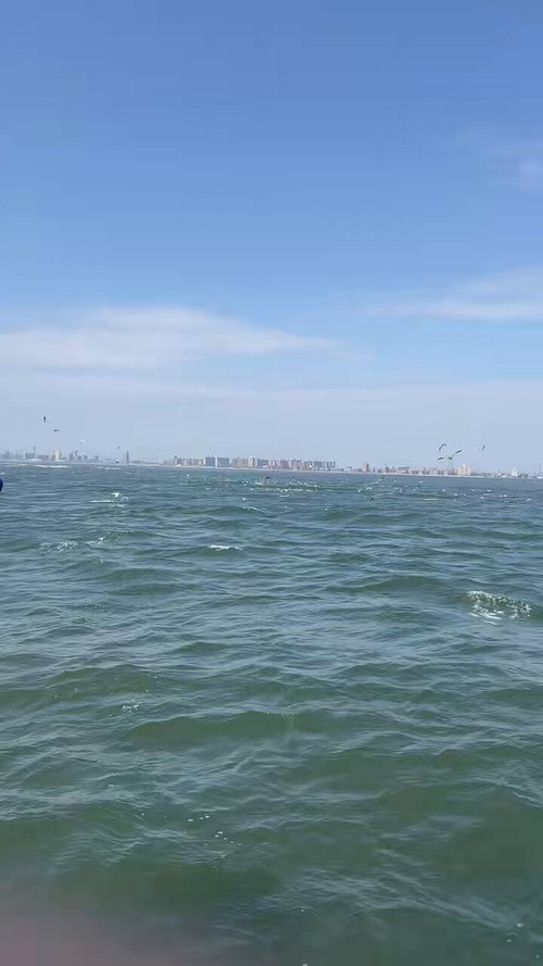 z9M zGOmECiTdVXG.jpg