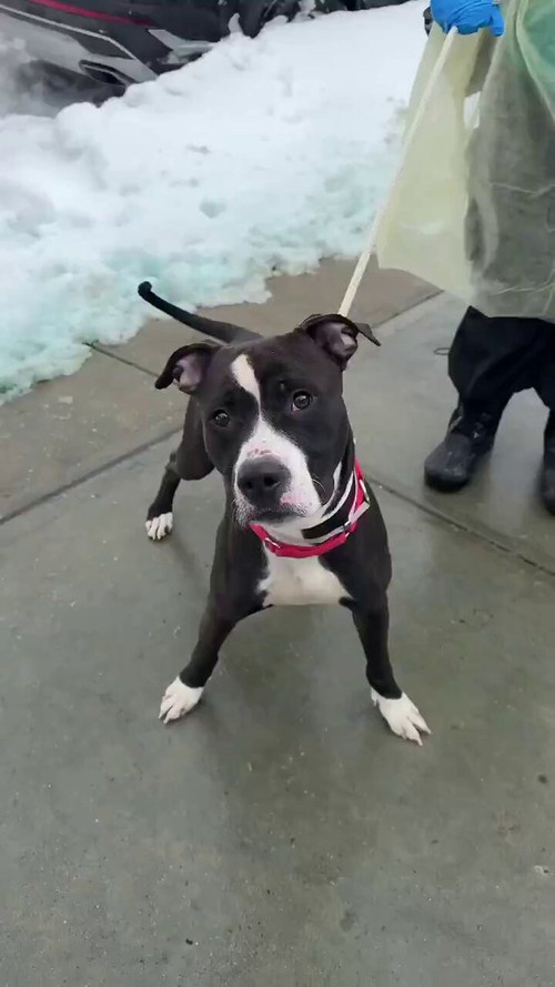 tbB2CamHRg8b Axt.jpg