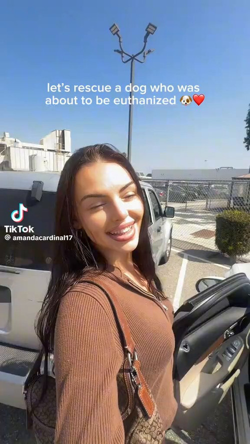 Wr21H0Hj N0p A3E.jpg