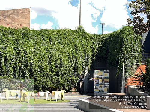 Steel Green Wall.jpg