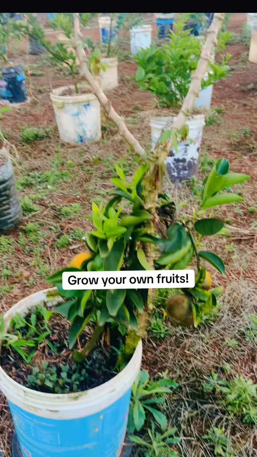 CK8UvaF qR31mL2g.jpg