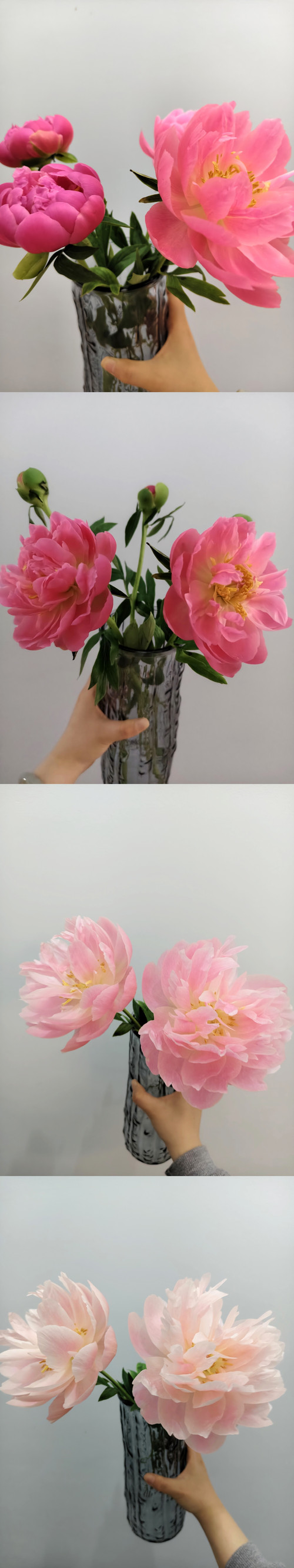 IMG 20260408 130259.jpg