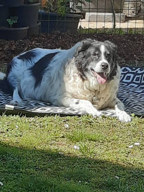 HFVDo6tXUAAvNl ?format=jpg.jpg