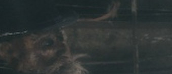 1833bb9e8b47.jpg