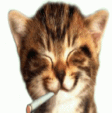kittysmoke.gif